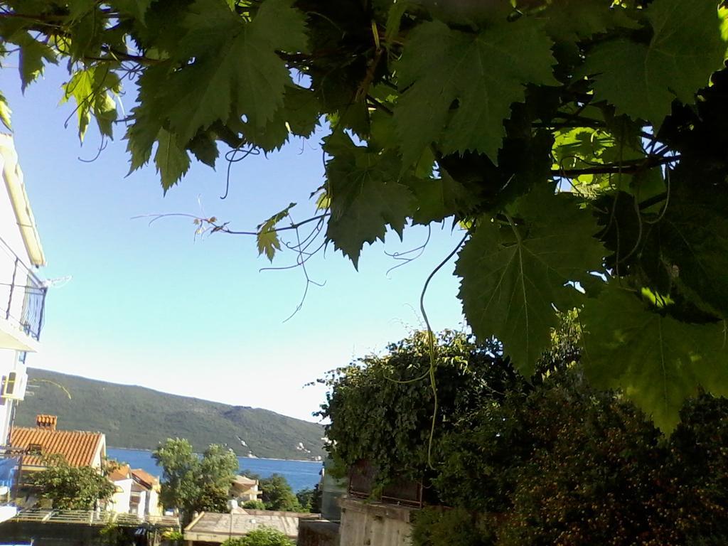 Nicholas Apartment Herceg Novi Exteriér fotografie